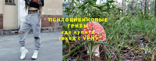 крисы Краснотурьинск