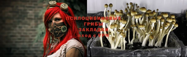 ALPHA PVP Краснослободск