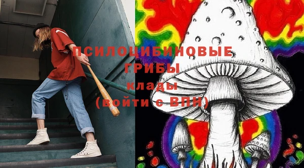 крисы Краснотурьинск
