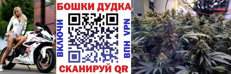 Купить закладки  Санкт-Петербург  Бошки Шишки Bruce Banner